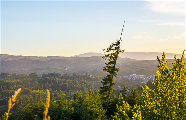 The Coast Range Oregon